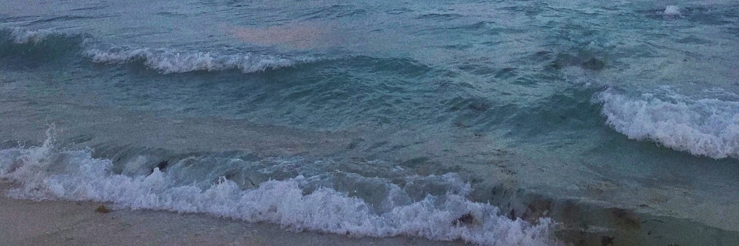 PaolaGSJ's profile banner image