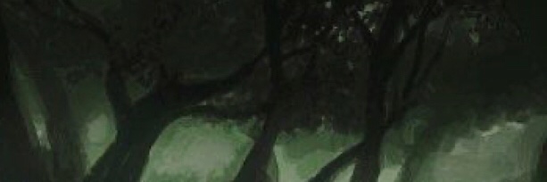 Jadebunn's profile banner image
