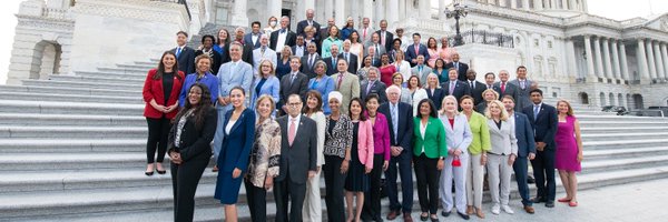 Progressive Caucus Profile Banner