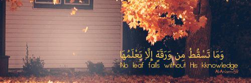 90_habib's profile banner image