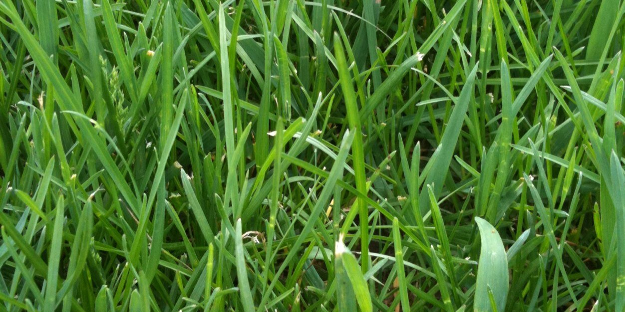 ShueMiller's profile banner image