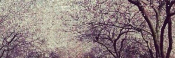 Ams2019 Profile Banner