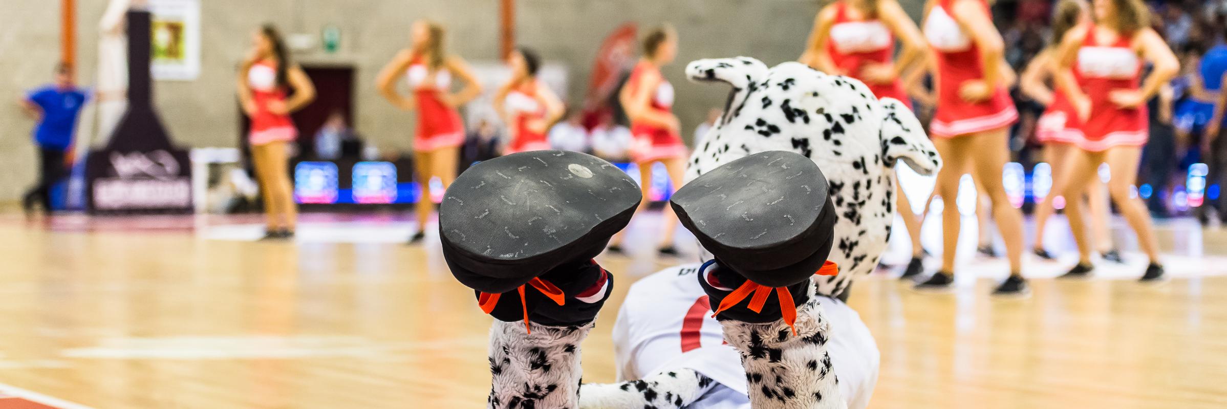 Hubo Limburg United banner