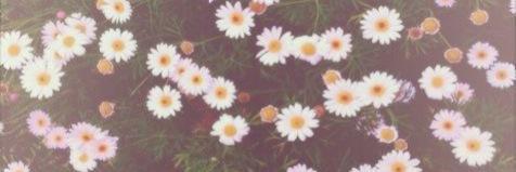 explosivebrad's profile banner image