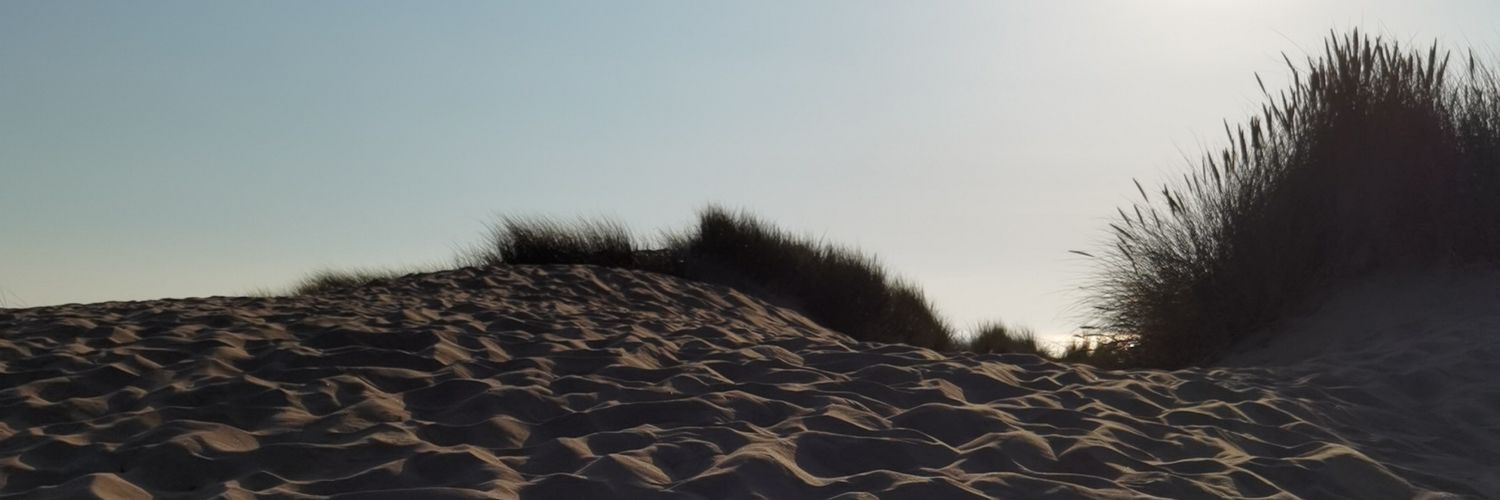 Hanif1H's profile banner image