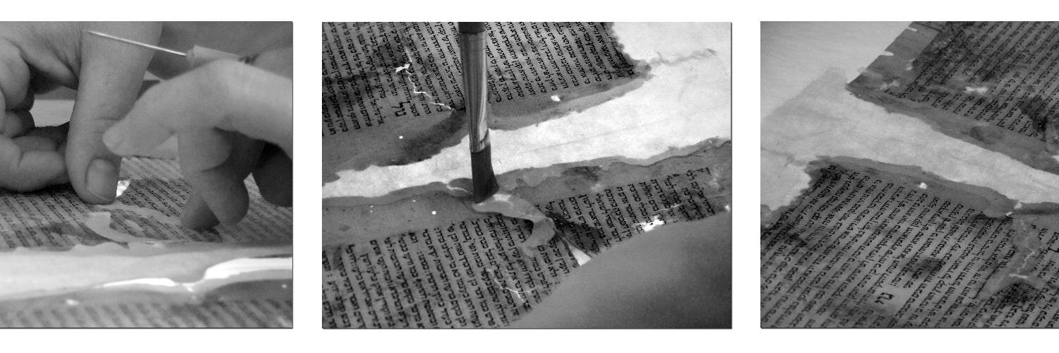 Codex Conservation banner