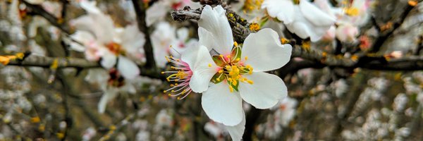 quidryan Profile Banner