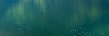 Swiftkilla's profile banner image