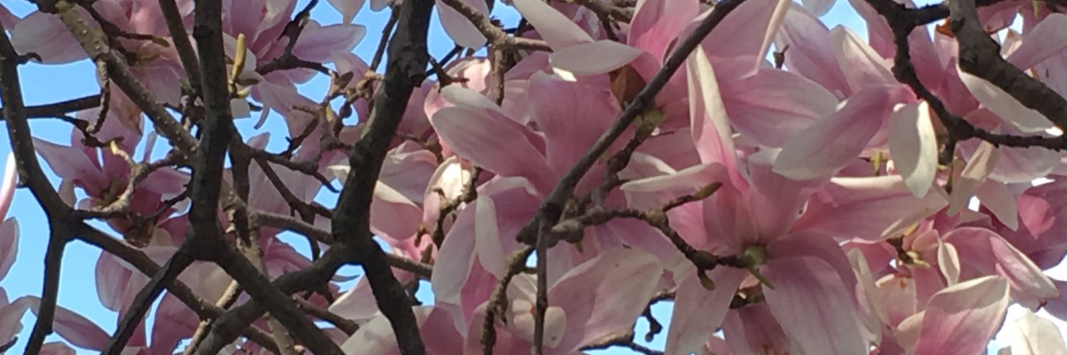 jesuisdebra's profile banner image