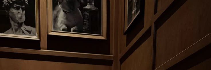 wonycentric's profile banner image
