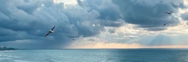nasst_aa's profile banner image