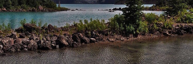 e_aiii's profile banner image