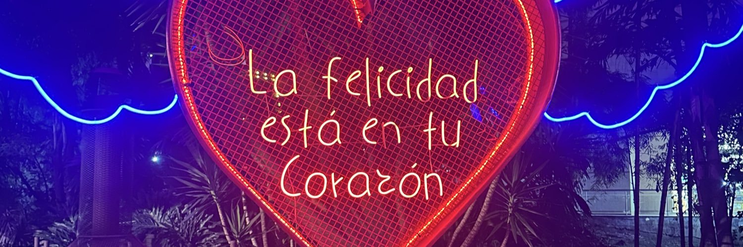 luzfernandadc's profile banner image