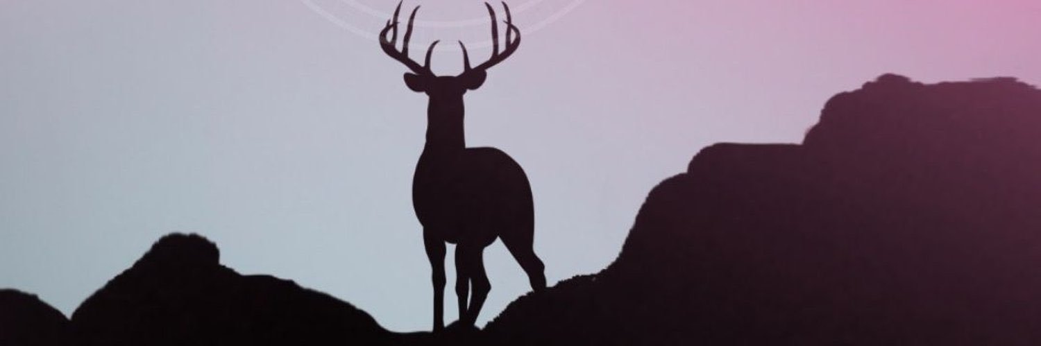 murattghuzlan's profile banner image