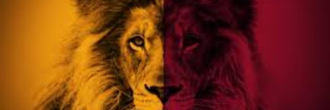 TalhaAPAYDIN's profile banner image