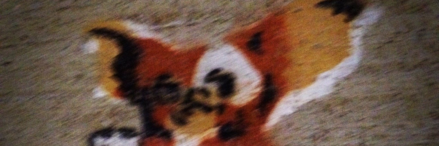 ItsHabyBaby's profile banner image