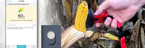 my_scio Profile Banner