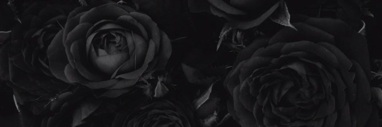 pa_tty44's profile banner image
