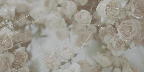 Haya_3h's profile banner image