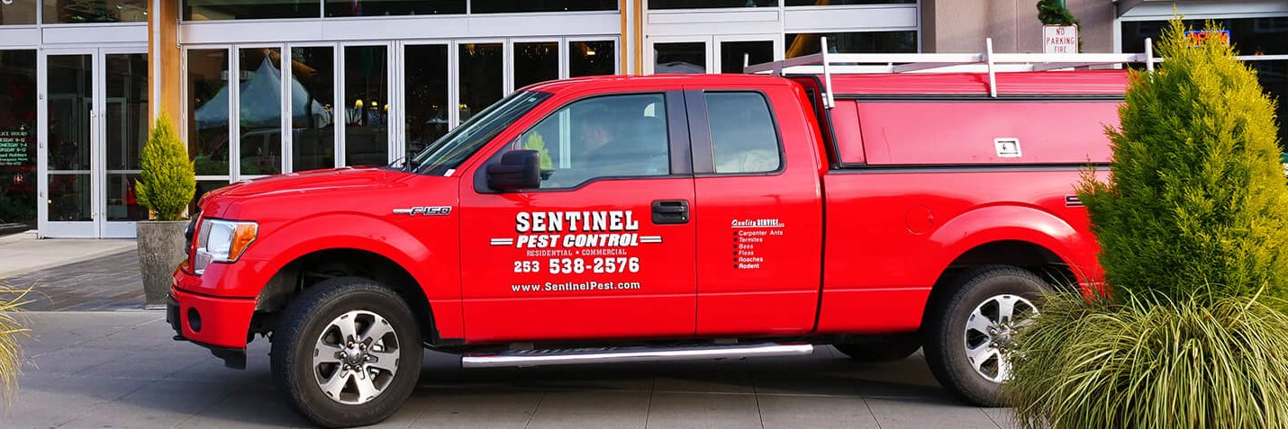 Pestwork's profile banner image