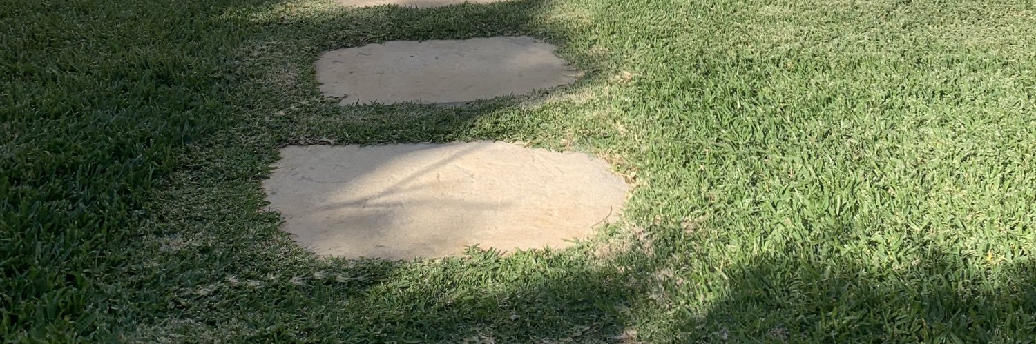PFBranquinho's profile banner image
