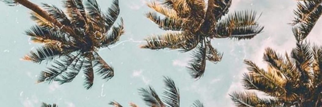 agostinaABB's profile banner image