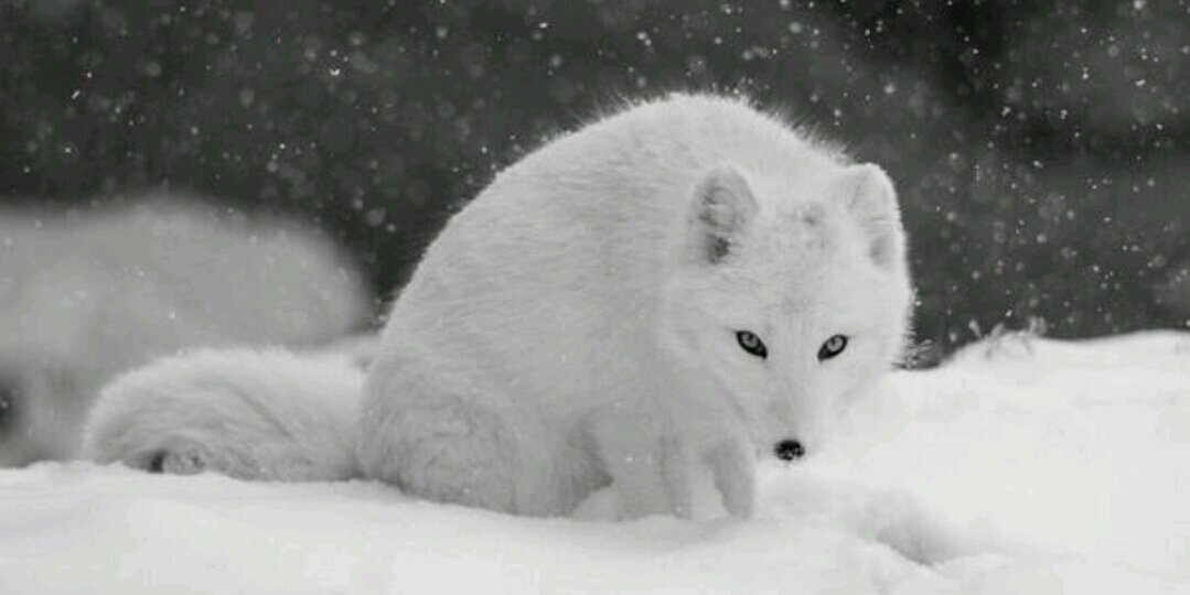 4548100's profile banner image