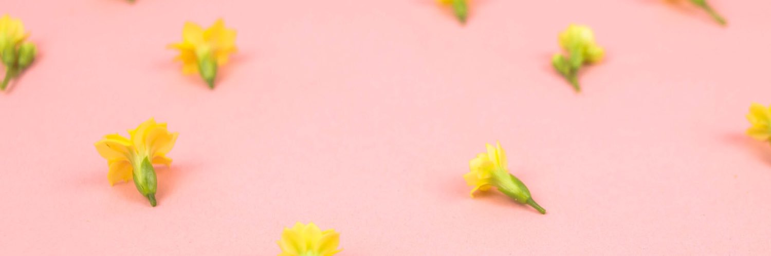 eleaiesse's profile banner image