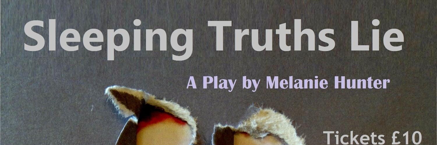 SleepTruthLie's profile banner image