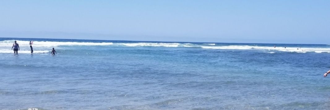 Kristen McConnell, PhD banner