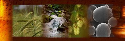 Bertus_cervesa's profile banner image