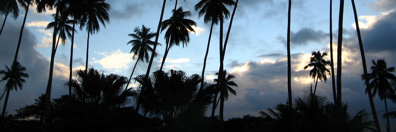 RBFpUnK182's profile banner image