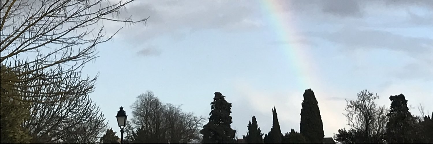 Virb3131's profile banner image