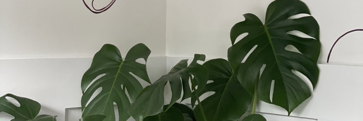 JaszGem's profile banner image