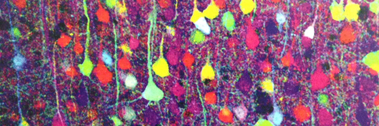 FrauStephan's profile banner image