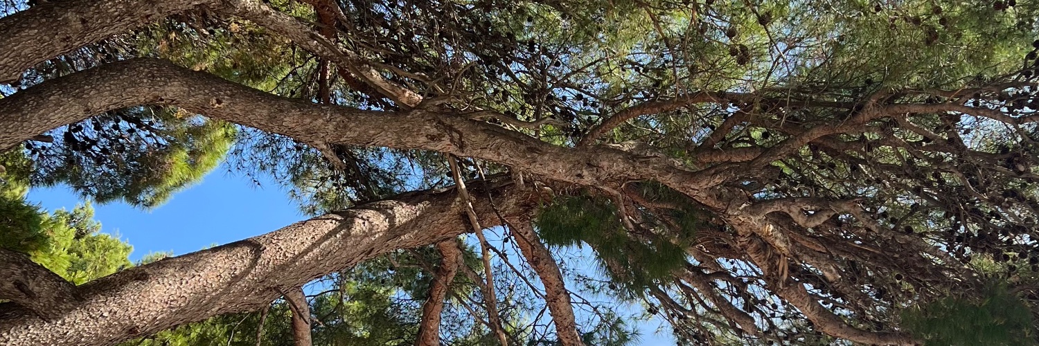 BabicVanja's profile banner image