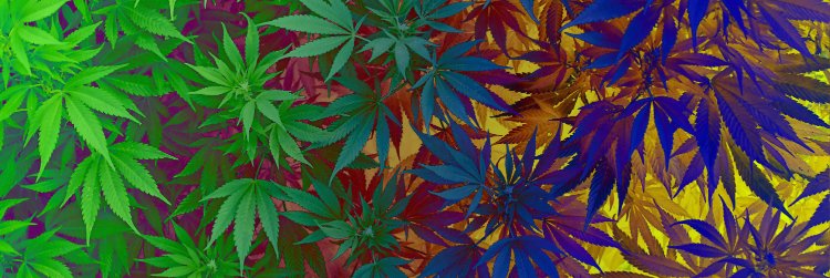 gethippiestuff's profile banner image
