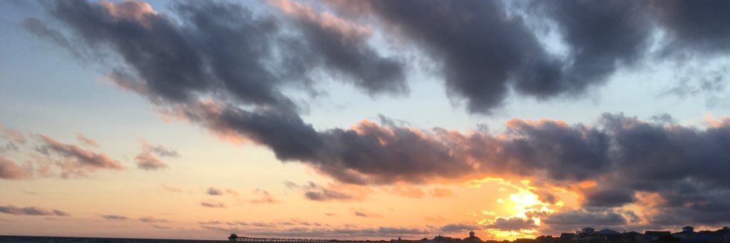 savannah_m98's profile banner image