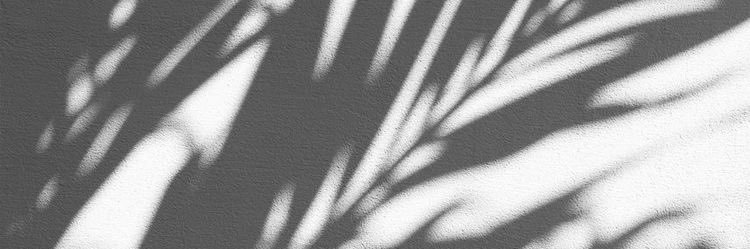 TylerRossiter_'s profile banner image