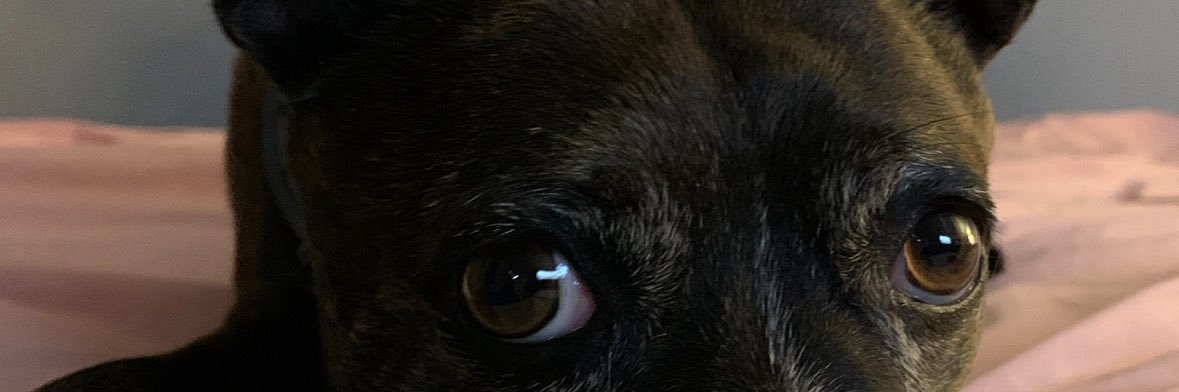 Elemsee VOTINGBLUEIN2026/2028💙💙 banner