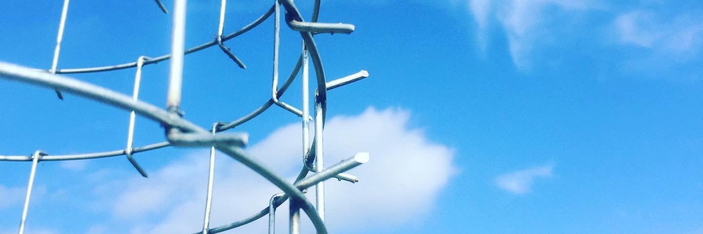 Cactus Tree Guards banner