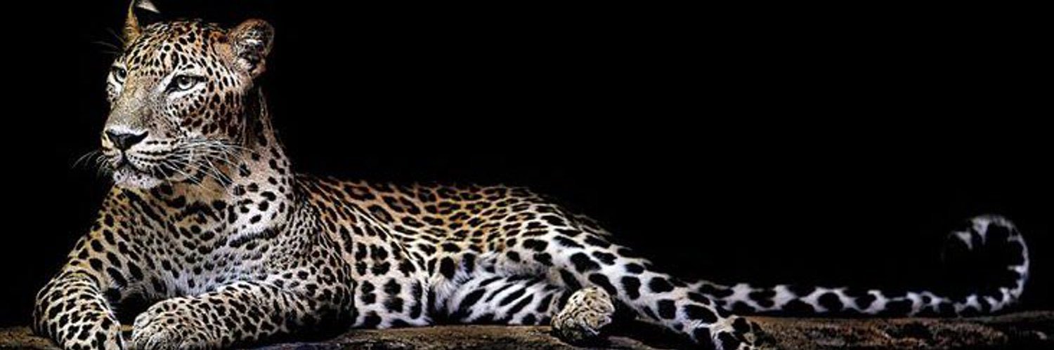 SLWXVII's profile banner image