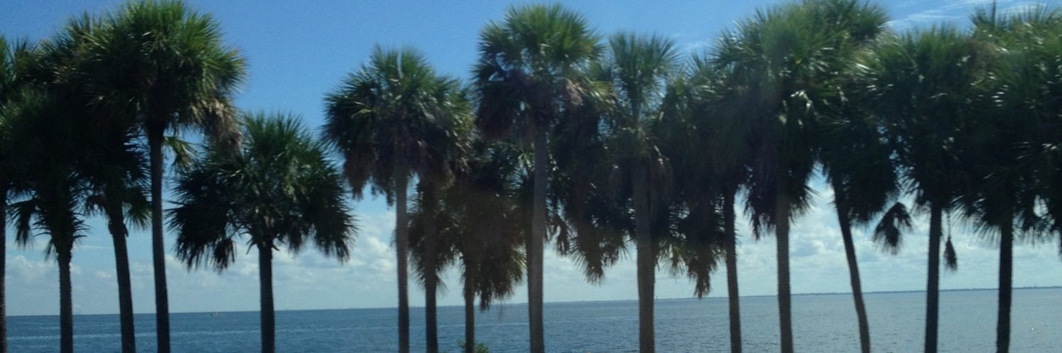 zoies's profile banner image