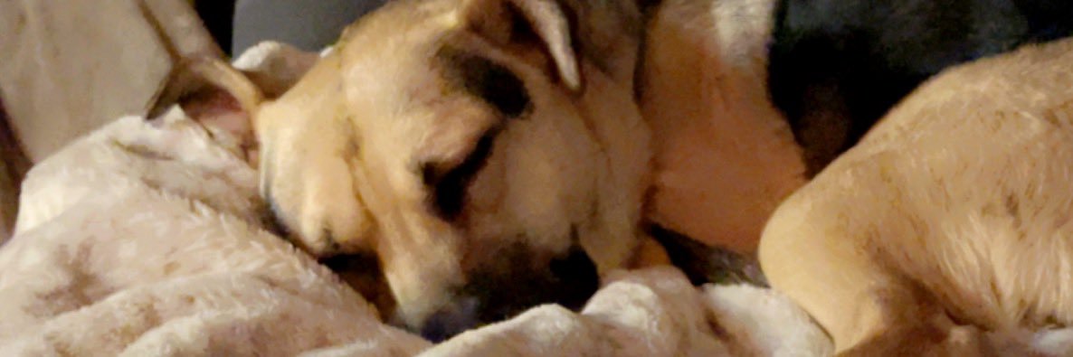jdog19_'s profile banner image