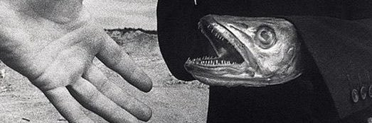 kmoom4's profile banner image