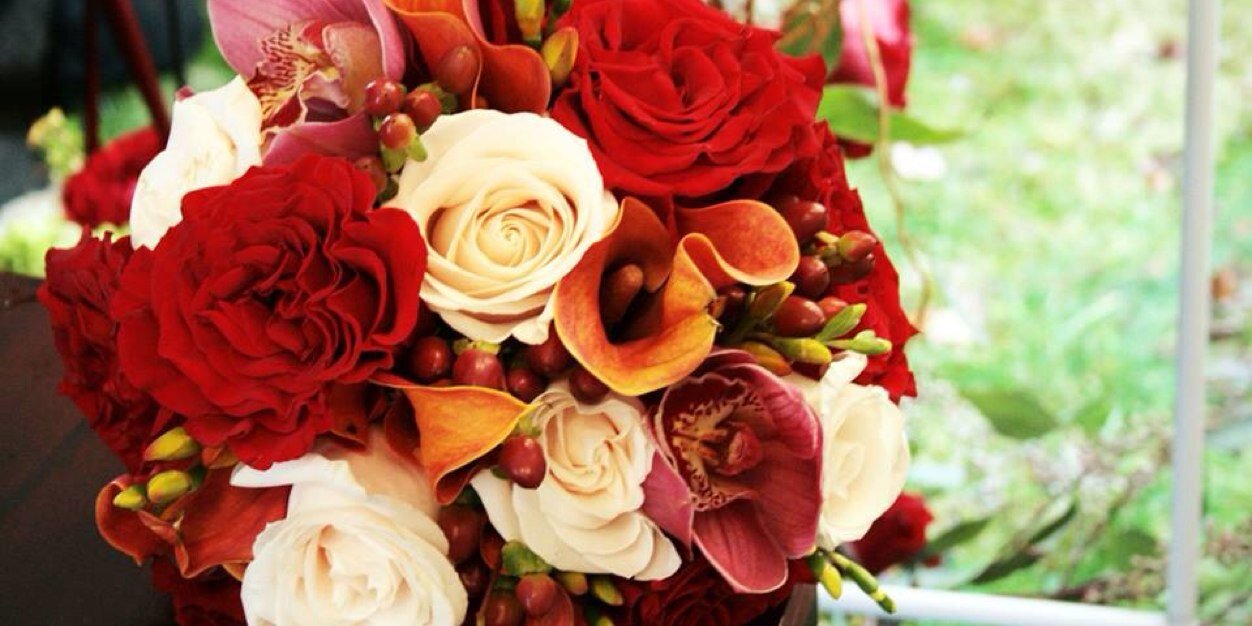 Tiffanyf19's profile banner image