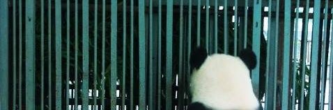 jiabooo1998's profile banner image