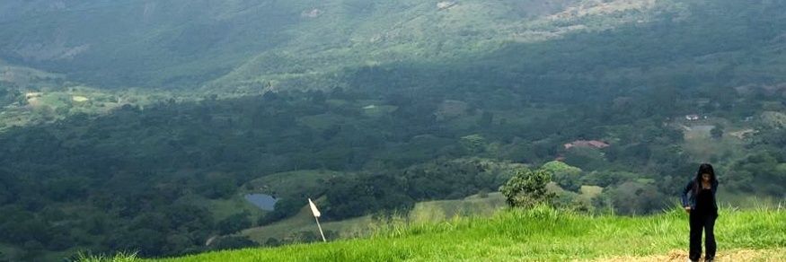 Luamahe's profile banner image