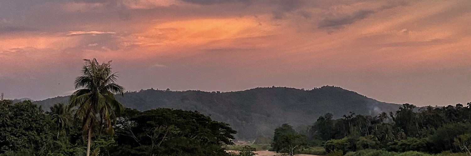 colistinem's profile banner image