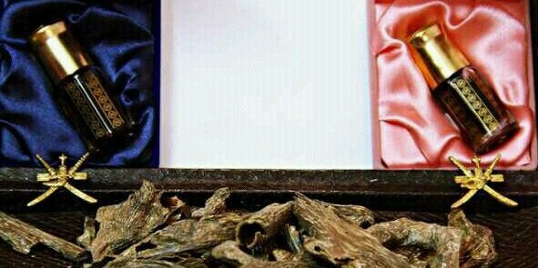 drcrespooo's profile banner image
